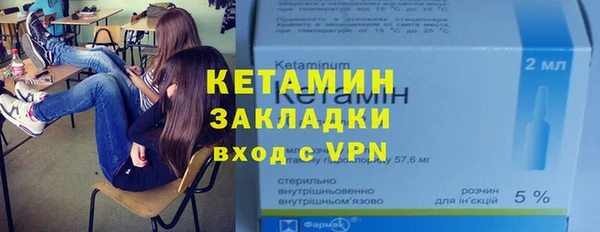 шишки Абаза