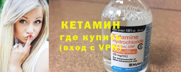 шишки Абаза