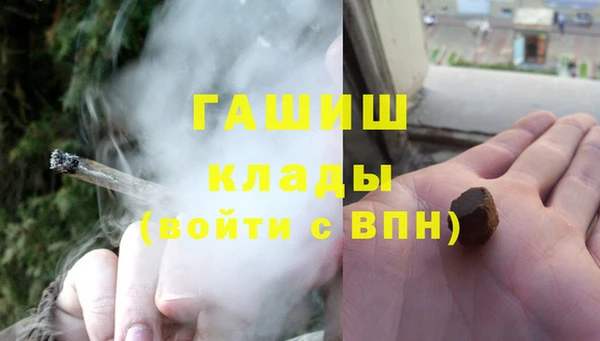шишки Абаза