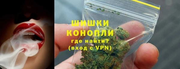 шишки Абаза