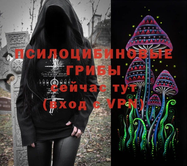 гидра Алексин