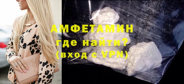 шишки Абаза