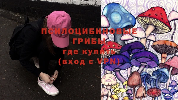 дживик Алексеевка
