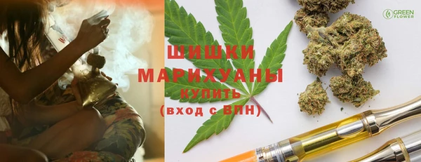 шишки Абаза
