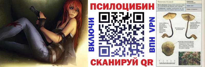 купить наркотик  Приволжский  Псилоцибиновые грибы Psilocybe 